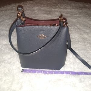 Coach small town bucket bag